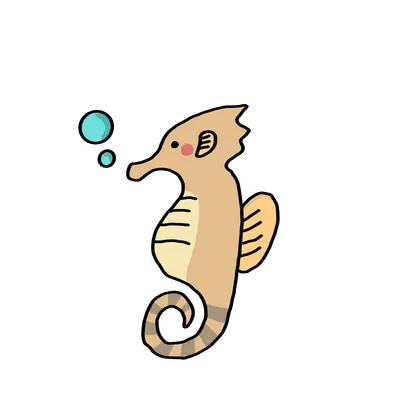 タツノオトシゴ