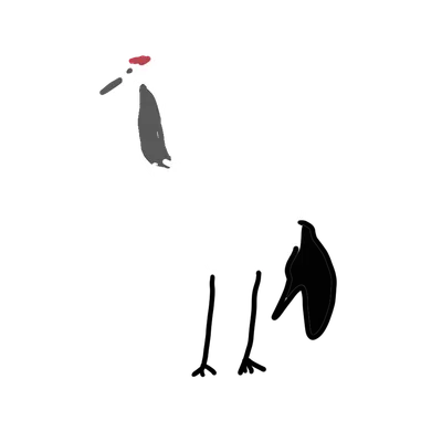 鶴