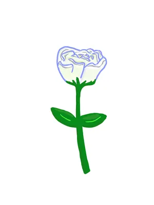バラ