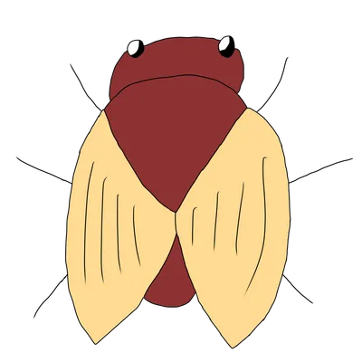 セミ（シンプル）