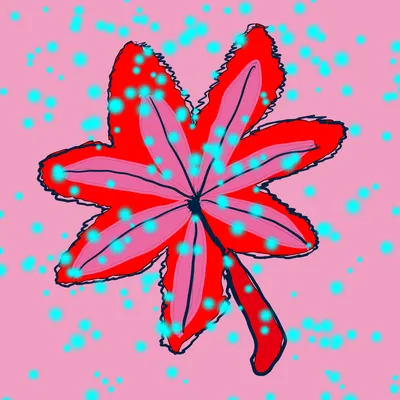 赤い花（水玉背景）