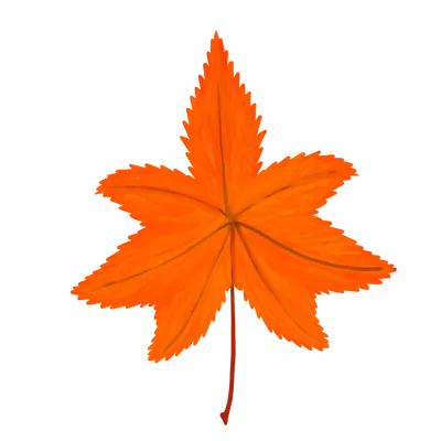 紅葉（赤）