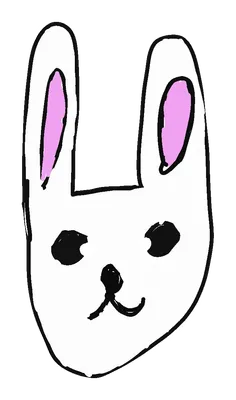 白いうさぎの顔