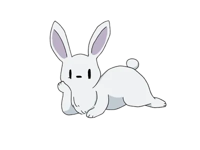 白いウサギ
