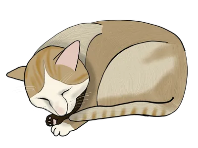 眠っている猫