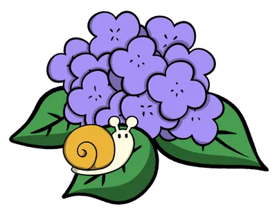 紫陽花とカタツムリ