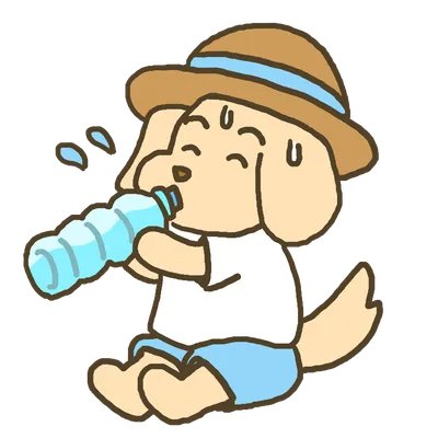 水を飲む犬