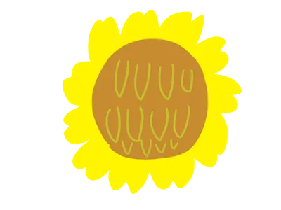 ひまわり（黄色）