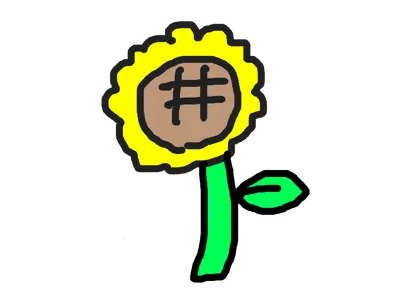 ひまわり