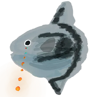 マンボウと太陽の涙