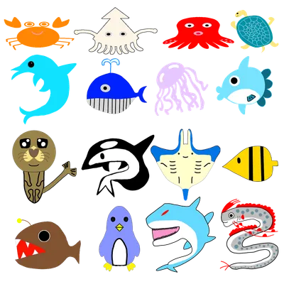 海の生き物セット（16種）