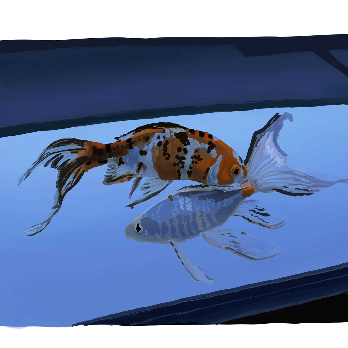 水槽の中の金魚