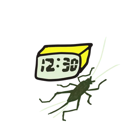 鈴虫ととけい