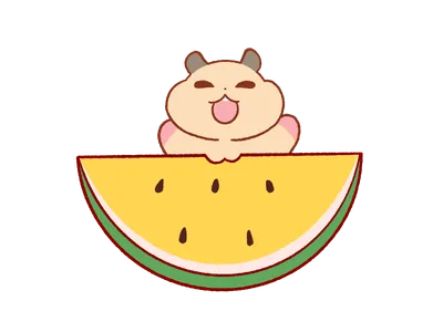 黄色いスイカを食べるハムスター
