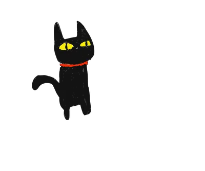 黒猫ちゃん