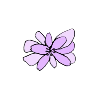 紫の小花