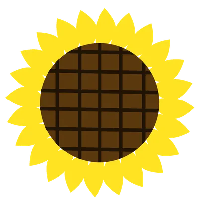 ひまわり