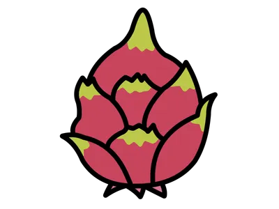 ドラゴンフルーツ（シンプル）