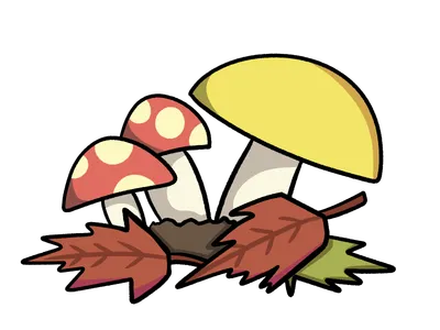 きのこ