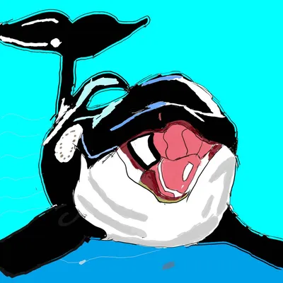 シャチ