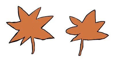 2枚のもみじ
