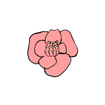 ピンクの花