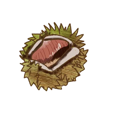 栗