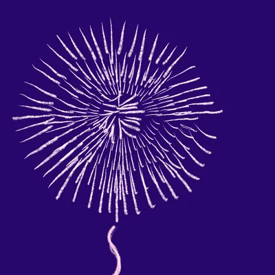 はかない花火