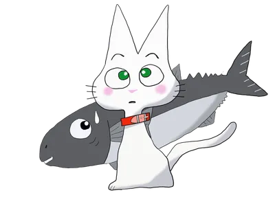 白猫と魚
