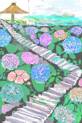紫陽花坂