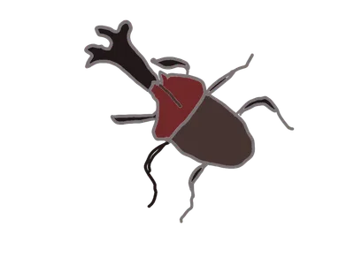 カブトムシ