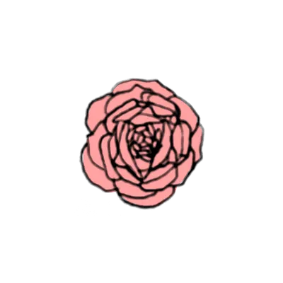 薔薇（ピンク）
