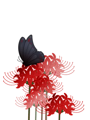 彼岸花