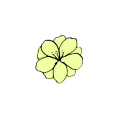 黄色い小花